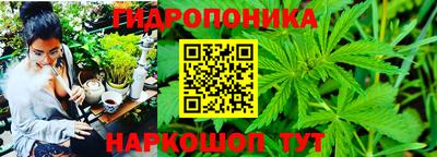 ECSTASY Кунгур