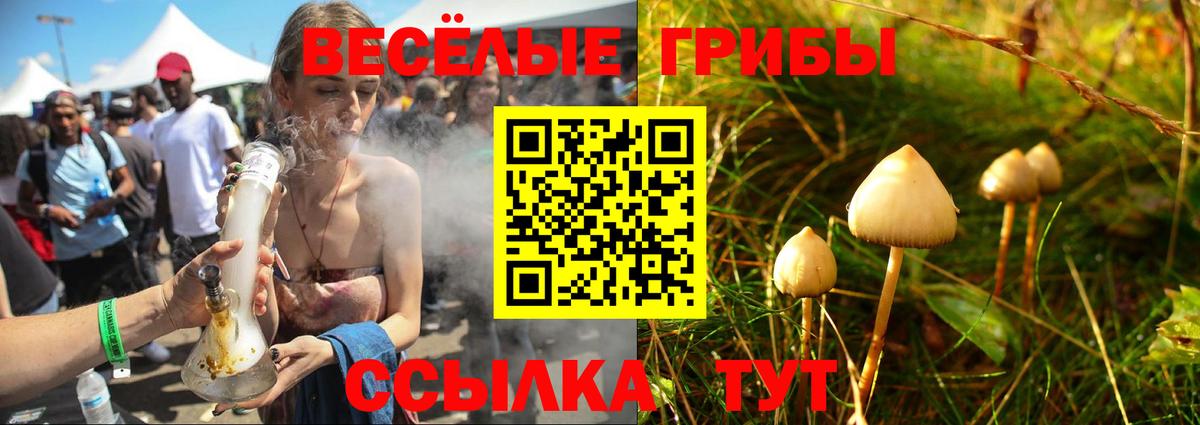 Псилоцибиновые грибы ЛСД Зеленогорск