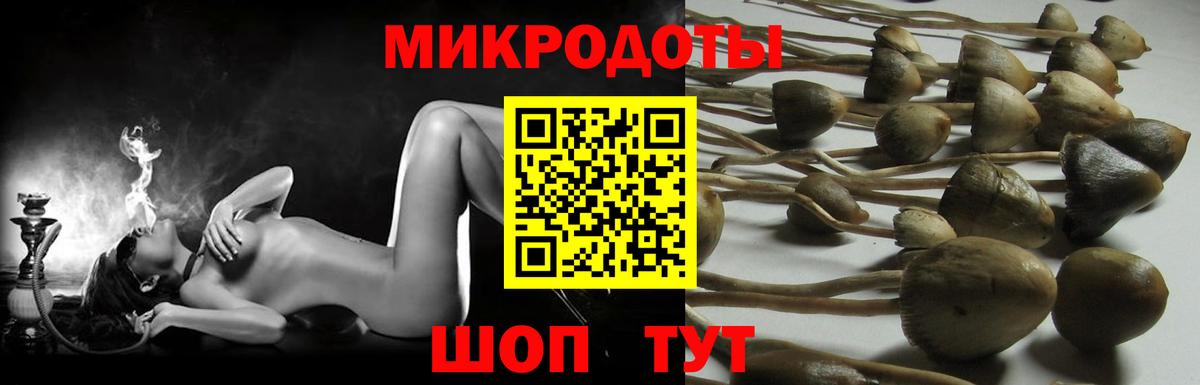 закладка  Вход с VPN  Зеленогорск  Псилоцибиновые грибы мухоморы  Галлюциногенные грибы мицелий 